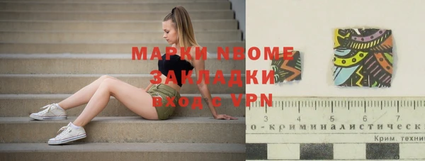 индика Армянск