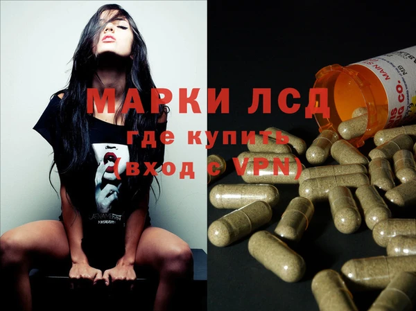 индика Армянск