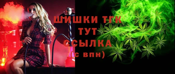 прущие крисы Аркадак