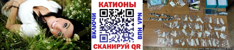 кракен маркетплейс  Калач  МЯУ-МЯУ мука 