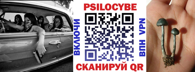 Галлюциногенные грибы Cubensis  Калач 